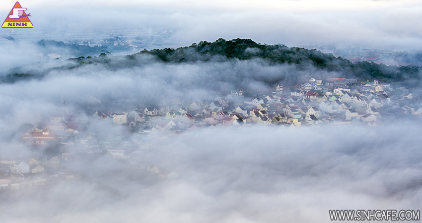 da lat in the mist 2