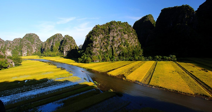 images_destinations_NinhBinh_Tamcoc_Ninhbinh_sampan_rice1w850h450 1 1