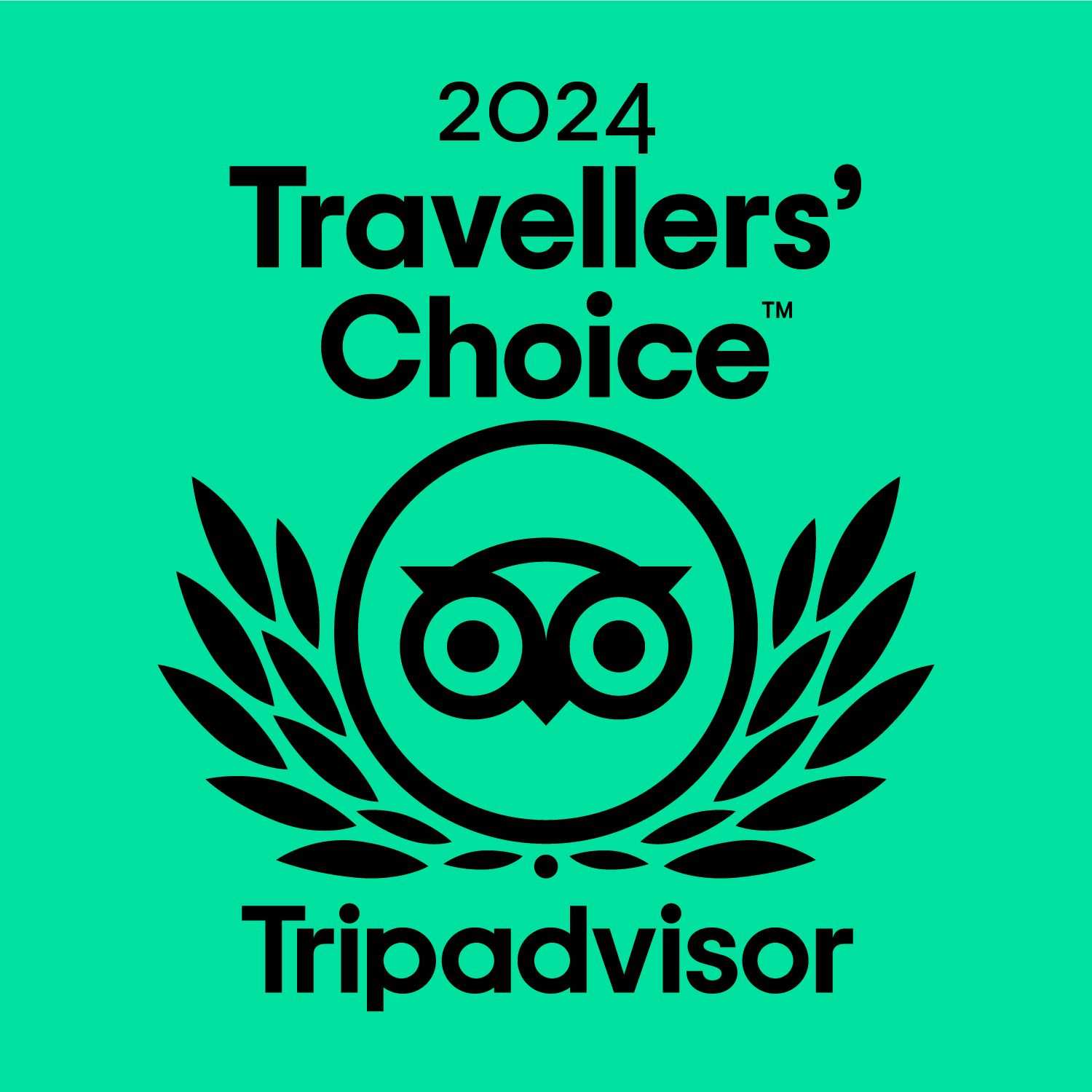 travelers choice tripadvisor 2024